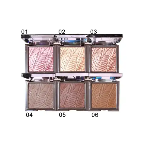 Silver Compact Matte Setting Powder